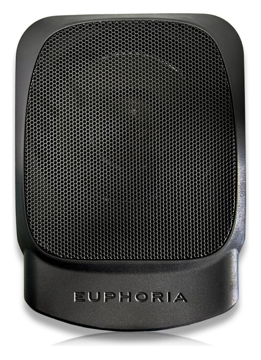 Subwoofer Amplificado Db Drive EPSW10 Euphoria Color Negro
